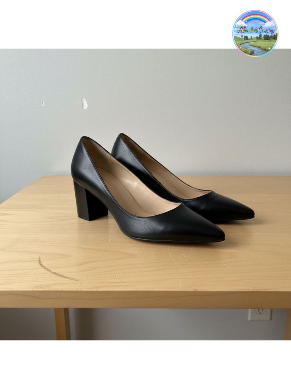 Women's Pointed Toe Chunky Block Heel Pumps Ankle Strap Pull-On